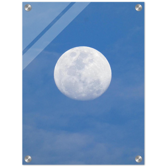 Moon Light - Acrylic Print 月光